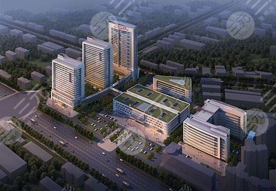 探索網絡科技領域的技術咨詢價值與趨勢